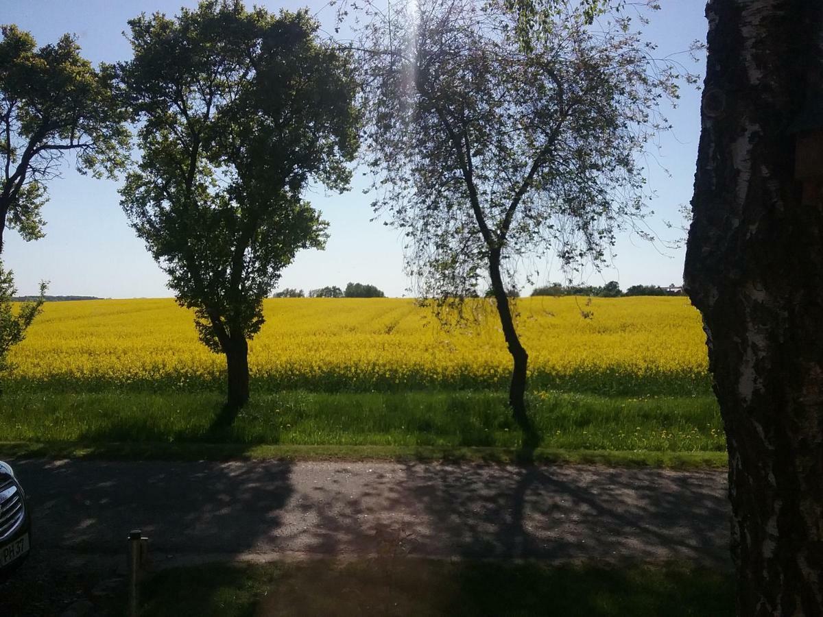 Ferienwohnung Thien Gross Niendorf  외부 사진